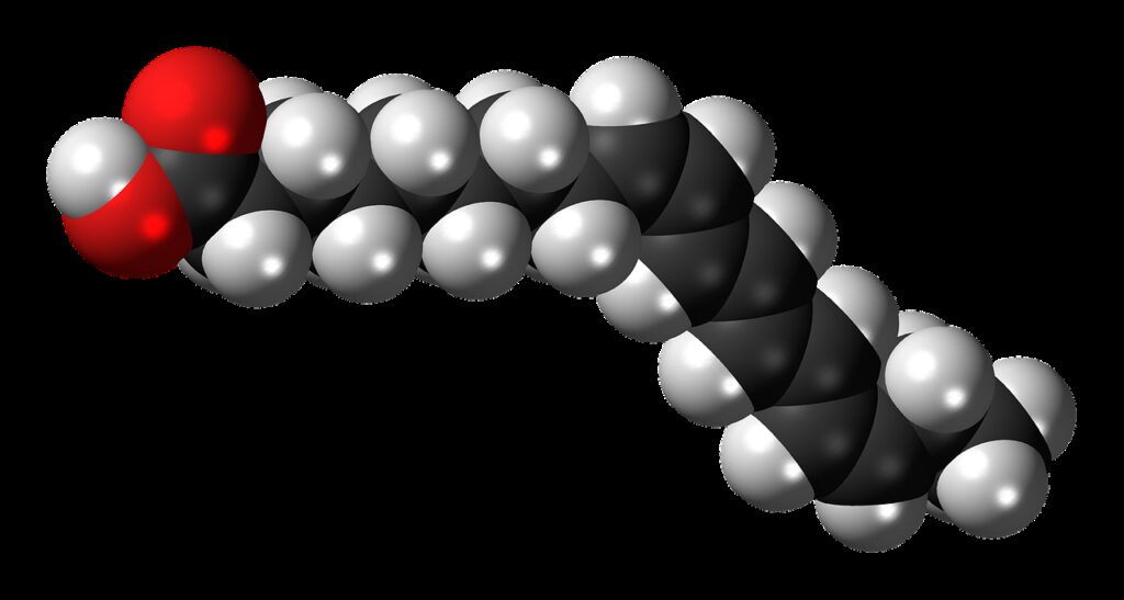 alpha parinaric acid, unsaturated, fatty acid